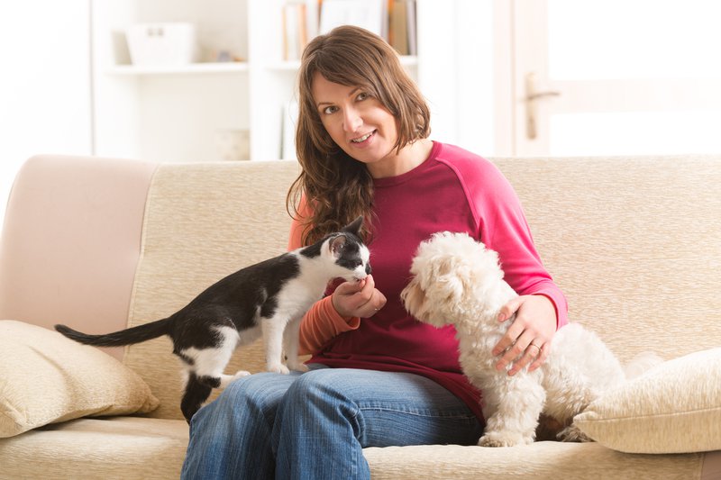 CBD and Allergies in Dogs Can It Help Soothe the Itch