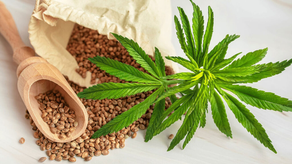 CBD Supports Daily Focus