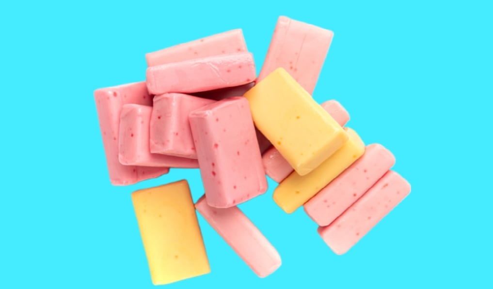 Pet Soft Chew Supplements