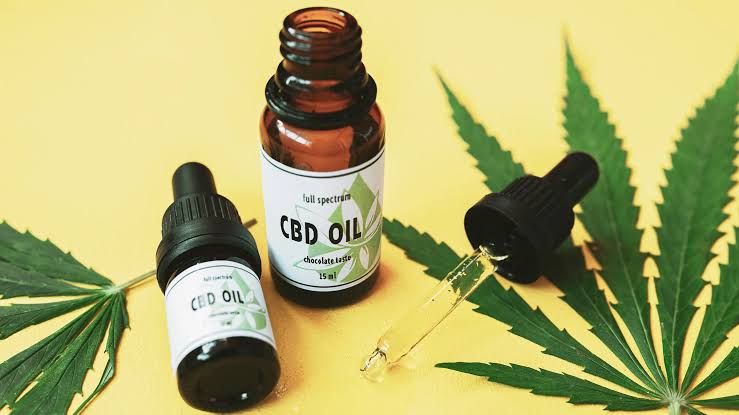 CBD Oil for Dogs