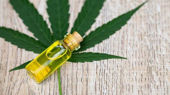 how long does CBD Oil last in dogs